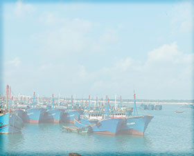 yl23455(й)ɷ޹˾