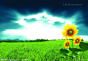 yl23455(й)ɷ޹˾