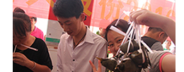 yl23455(й)ɷ޹˾