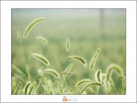 yl23455(й)ɷ޹˾